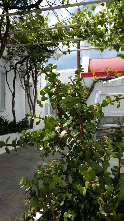Christina Studios Mykonos Town Εξωτερικό φωτογραφία